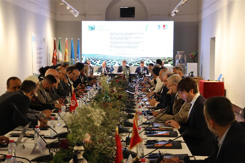 Comité consultivo ioc oleo140525