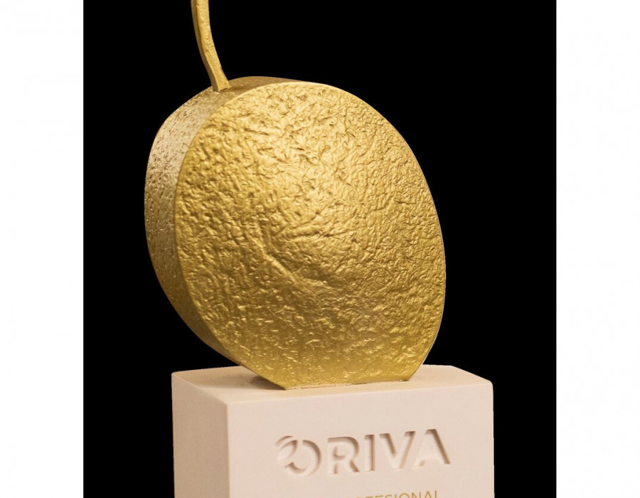 Premios comunicacion ORIVA galardon oleo200525