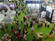 Expoliva2025 oleo200525