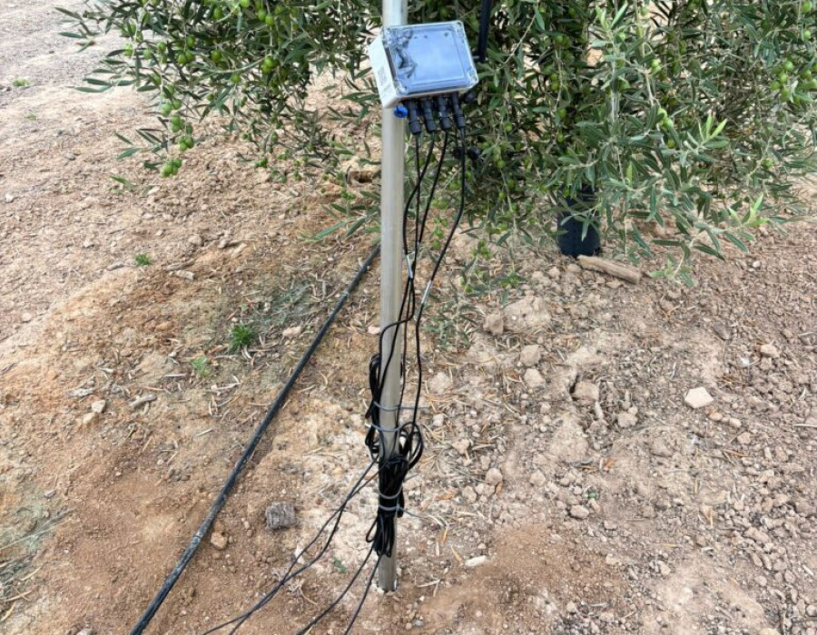 Piloto Espana Montalban sudoe  gemelos digitales oleo220525