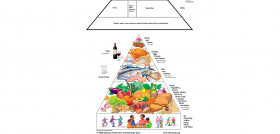 Estudio3 science diect dietamed oleo230525