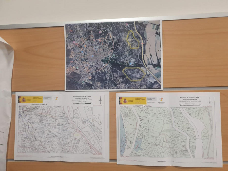 Parcelas de recuperacion ayuntamiento horche guadalajara olivos oleo270525