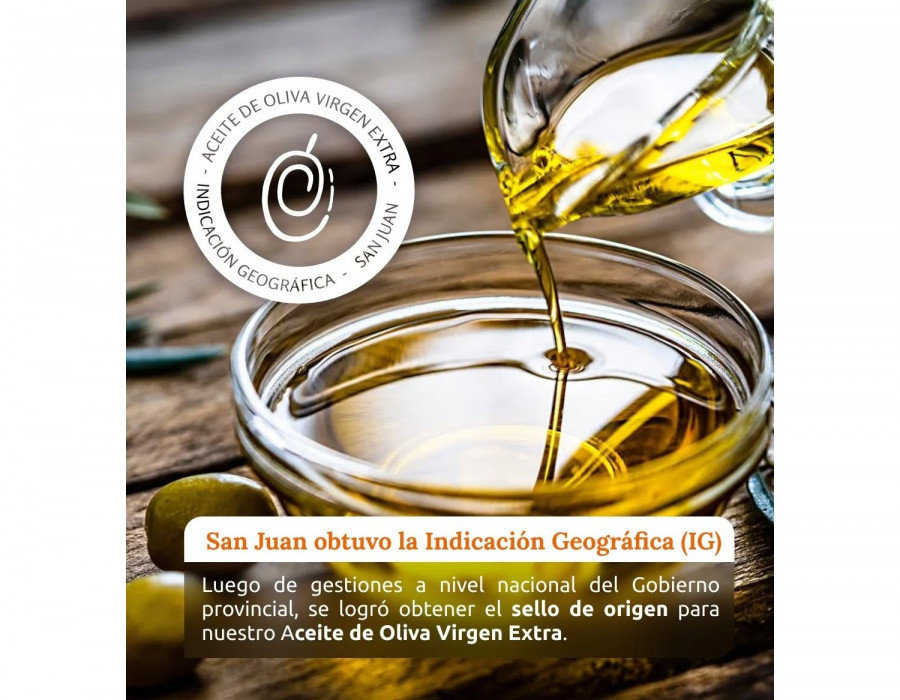 Sello igp san juan argentina oleo290525