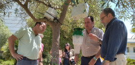 Capacitación plags go Olivar oleo020625