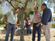 Capacitación plags go Olivar oleo020625