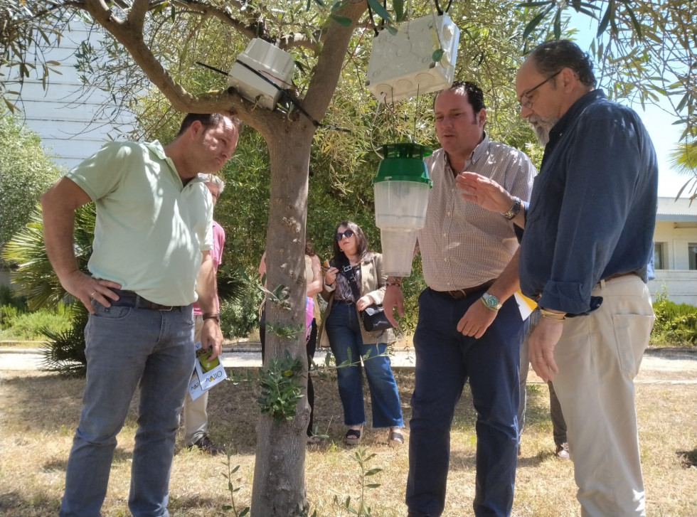 Capacitación plags go Olivar oleo020625