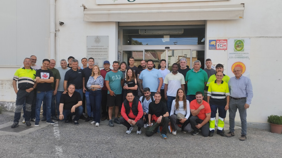Curso mailal pieralisi coya oleo020625