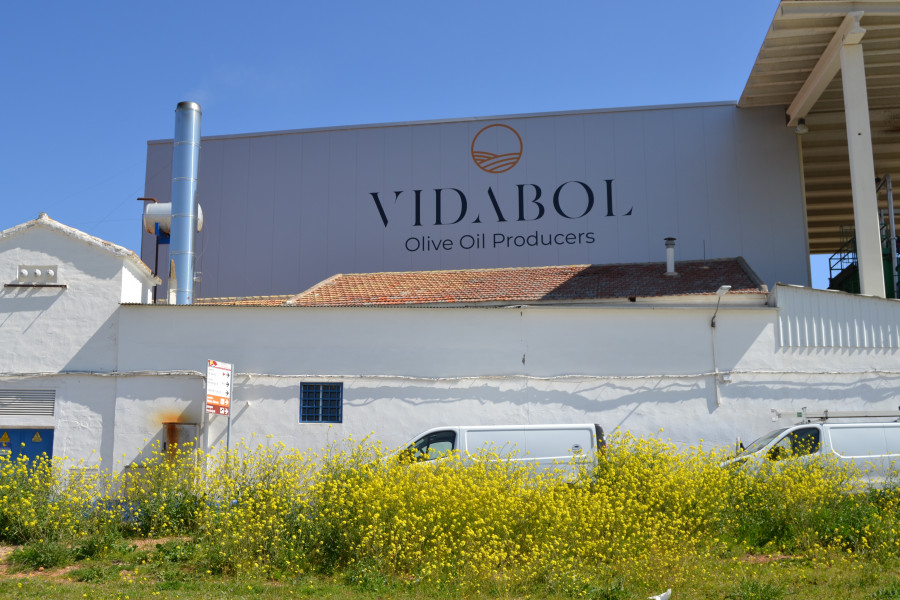 Vidabol Coop. de Bolaños nuevos socios oleo030625