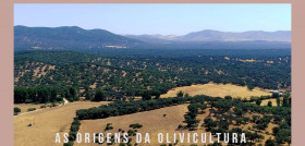 Terra oliva documentales oluvm portugal oleo040625