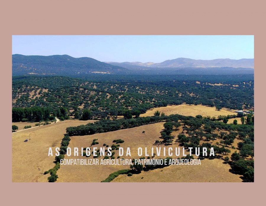 Terra oliva documentales oluvm portugal oleo040625