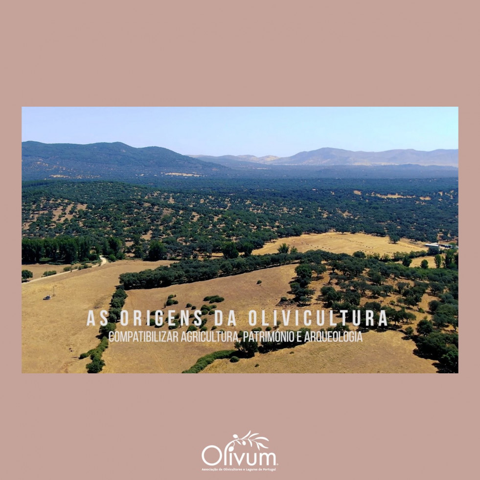 Terra oliva documentales oluvm portugal oleo040625
