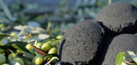 Carboliva . Biochar oleo090625