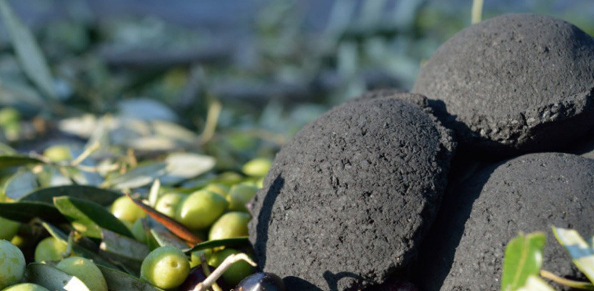 Carboliva . Biochar oleo090625
