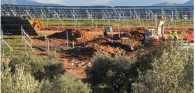 Tala olivos fotovoltaicas sos rural oleo110625