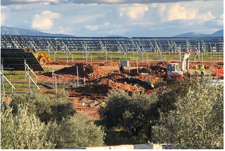 Tala olivos fotovoltaicas sos rural oleo110625