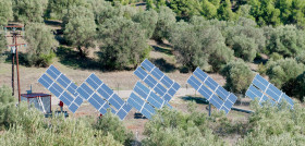 Agrivoltaica olivar oleo130625