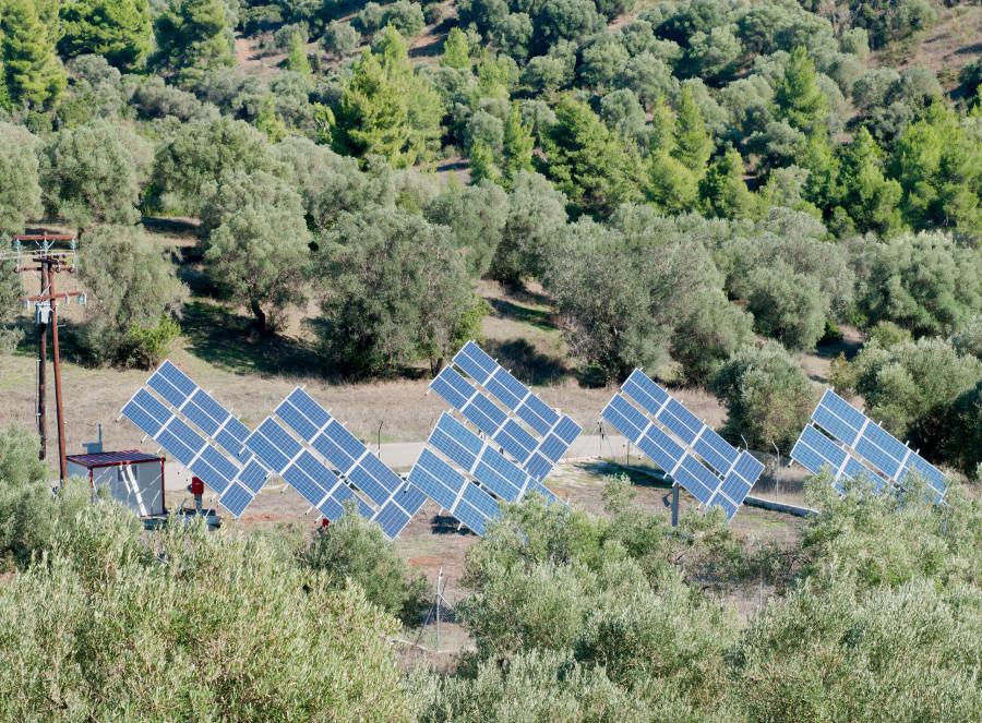Agrivoltaica olivar oleo130625