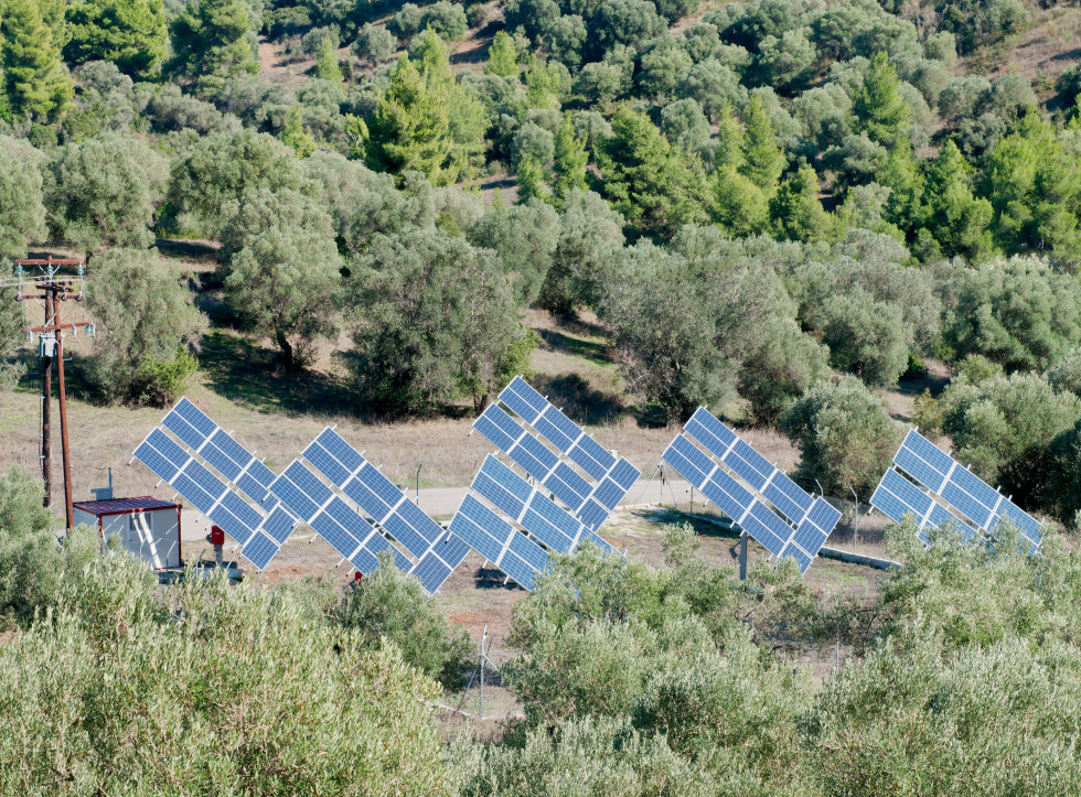 Agrivoltaica olivar oleo130625