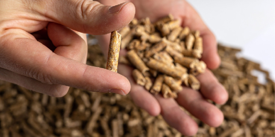 Pellet mano avebiom oleo170625