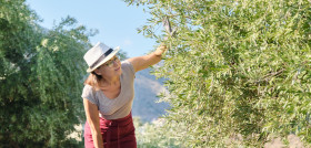 Ley regional papulia citta olio oleoturimso oleo180625