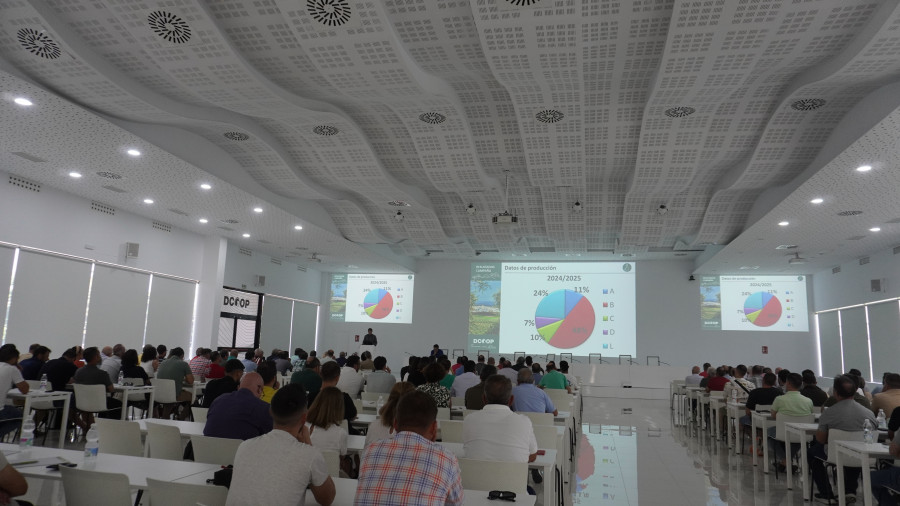 Jornada tecnica calidad dcoop oleo180625