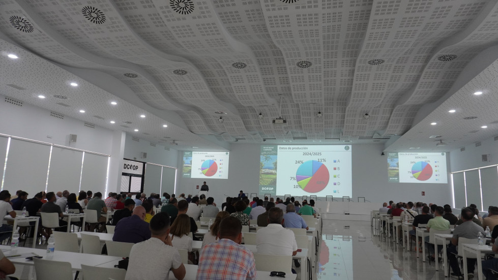 Jornada tecnica calidad dcoop oleo180625