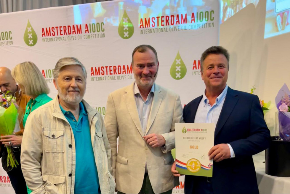 Puerta de las Villas premio Ámsterdam oleo180625