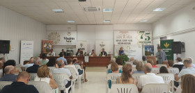 Fiesta del Olivar y del Aceite de Sierra Mágina oleo240625