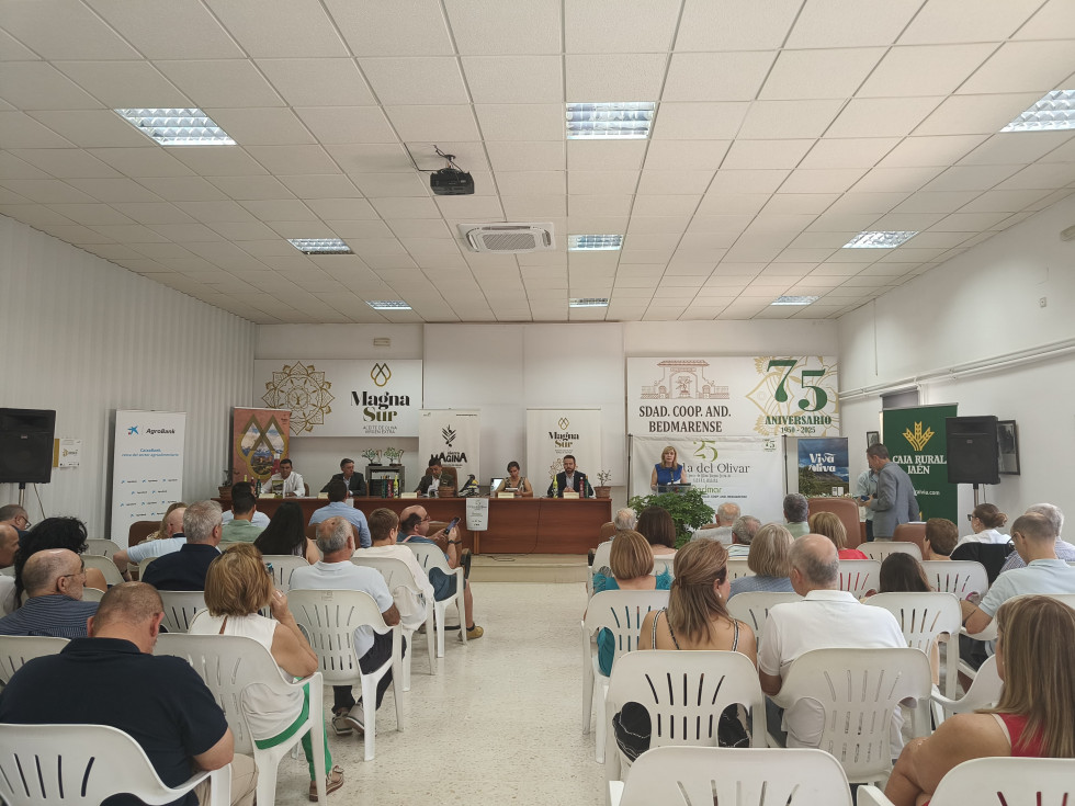 Fiesta del Olivar y del Aceite de Sierra Mágina oleo240625
