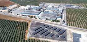 Agrosevilla oleo270625