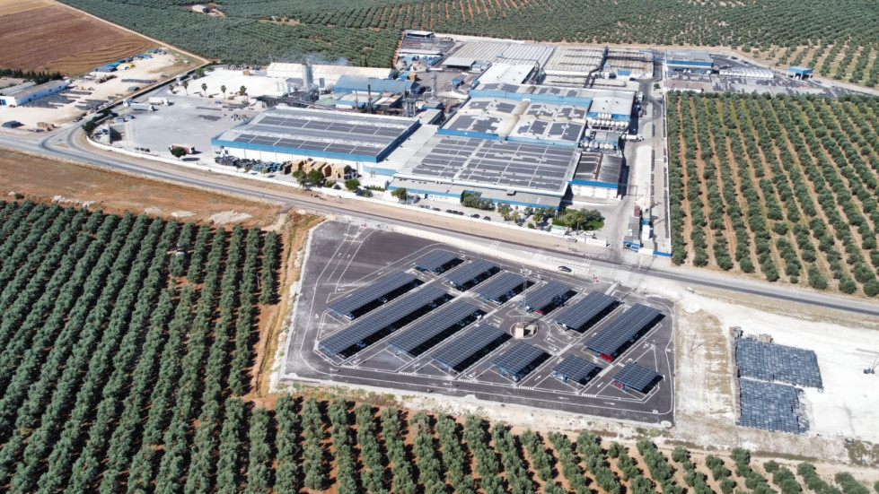Agrosevilla oleo270625