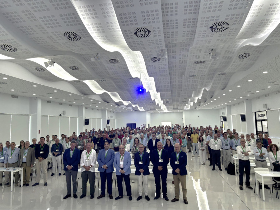 Asamblea dcoop oleo300625