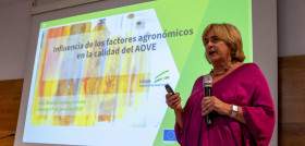 IGP AOVE5 diputaciónHuelva Ponencia BrigidaJienez oleo010725