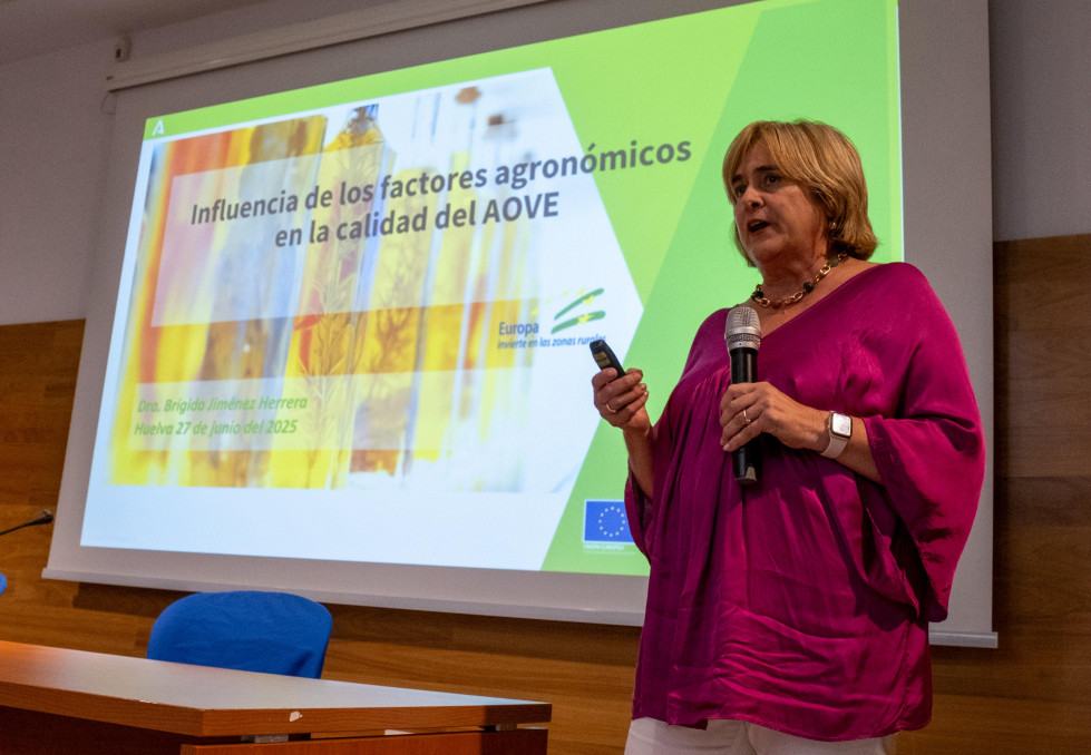 IGP AOVE5 diputaciónHuelva Ponencia BrigidaJienez oleo010725