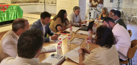 Reunion AEMO hoja ruta oleo010725