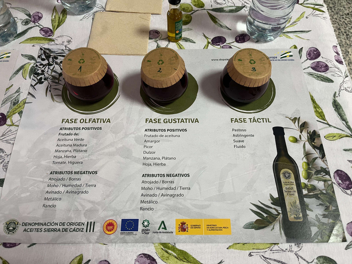 Cata AOVE variedadesCadiz 201 oleo100725