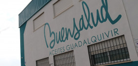 Buensalud proyecto oleo160725