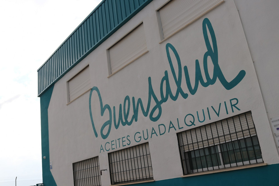 Buensalud proyecto oleo160725