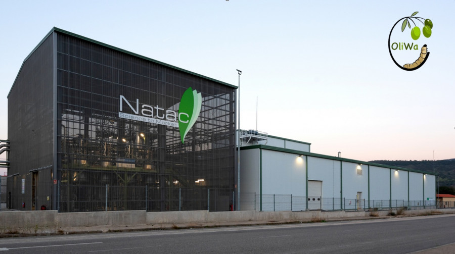 Natac proyecto OLIWA oleo170725