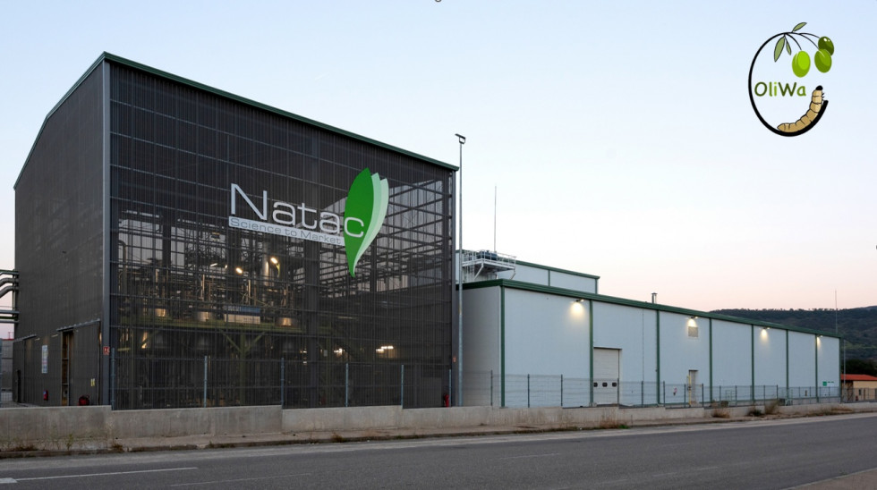 Natac proyecto OLIWA oleo170725
