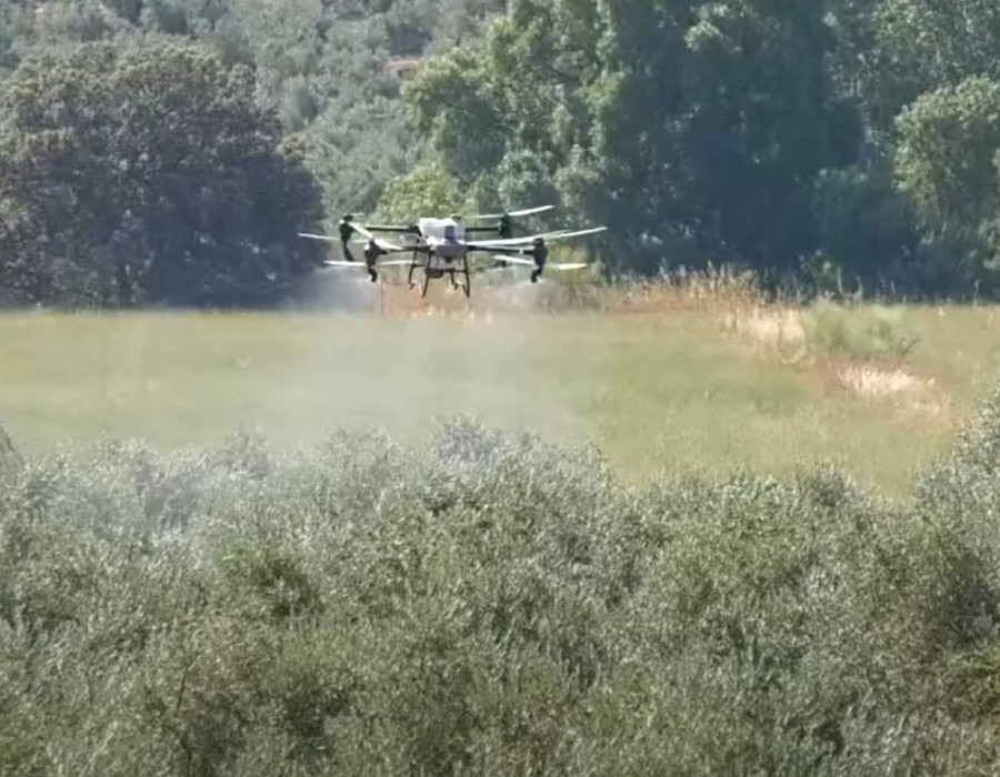 Drone mosca olivo fundacion jav oleo220725