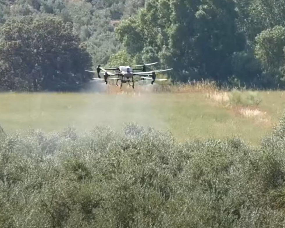 Drone mosca olivo fundacion jav oleo220725