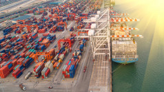 Exportaciones mayo25 oleo230725