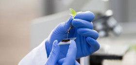 Fertinagro biotech premio innovacion oleo250725