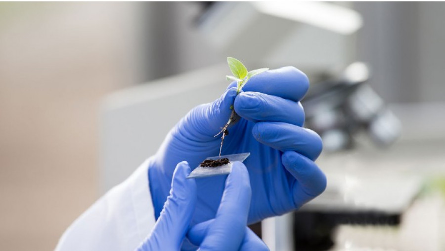 Fertinagro biotech premio innovacion oleo250725