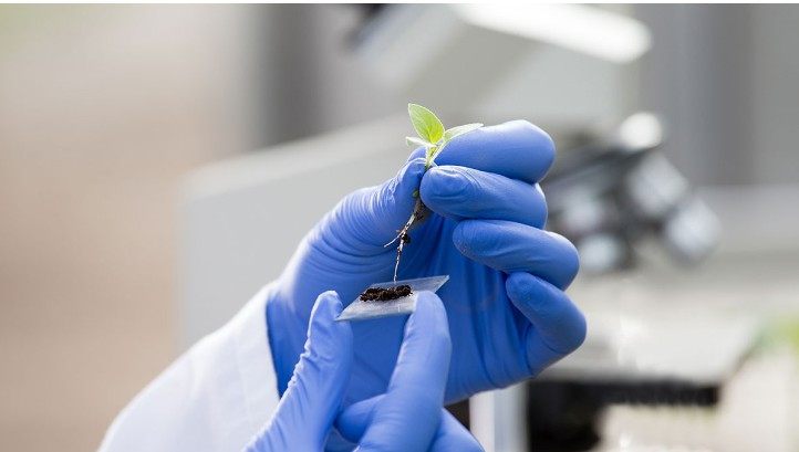 Fertinagro biotech premio innovacion oleo250725