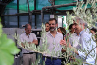 Espacio investigacion ifapa cordoba oleo250725