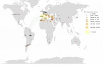 Coi datos junio junio flujos brasil oleo300725