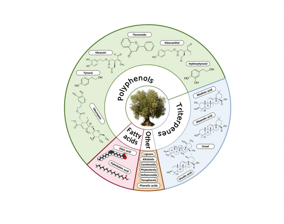 Foods microbiota aceituna foods oleo310725